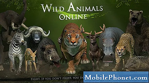 5 najboljših iger za živali za otroke na Androidu