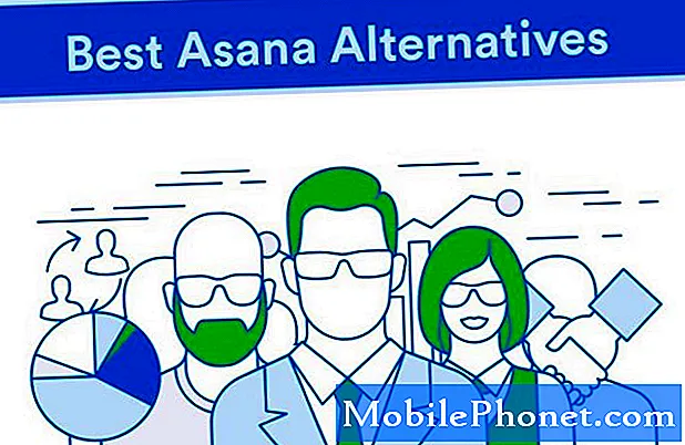 Las 5 mejores alternativas de Asana en 2020