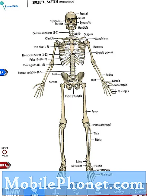 5 meilleures applications de système squelettique pour les enfants