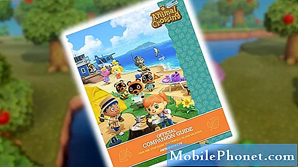 Przewodnik po Animal Crossing New Horizons, aby poznać prawdziwą sztukę od fałszywych