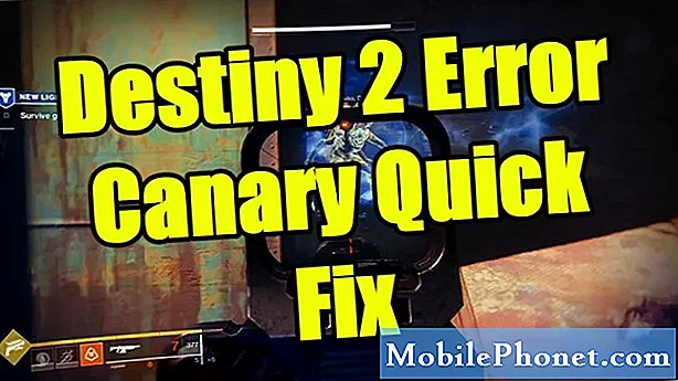 ข้อผิดพลาด Destiny 2 Canary Quick Fix