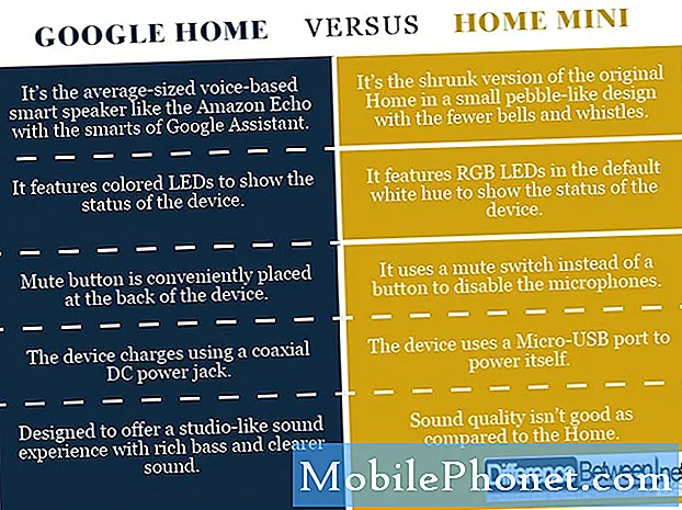 Google Home과 Google Home Mini의 차이점