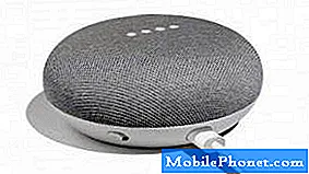 Comparación de Google Home Mini Vs Echo Dot Mejor dispositivo Home Assistant 2020