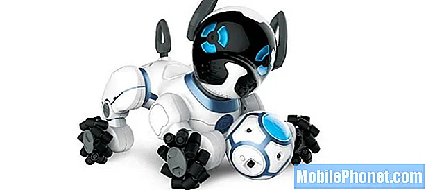 WowWee Chip Robotic Dog tager på Zoomer Kitty