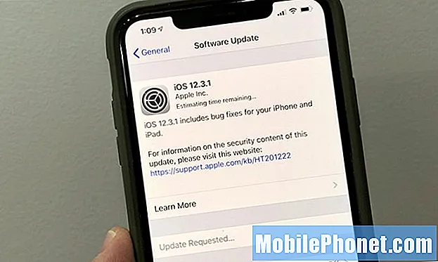 5 ting at vide om iOS 12.3.1-opdateringen