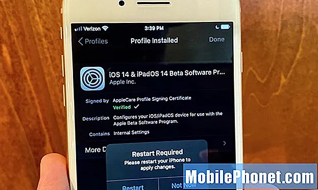 Geliştirici Hesabı Olmadan iOS 14 Beta iPSW veya Profil Nasıl İndirilir