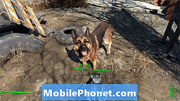 Fallout 4 Companions Vihjeitä - Artikkeleita
