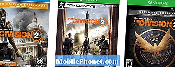 Division 2: Mikä versio ostaa?