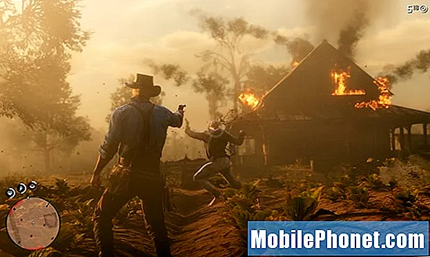 Red Dead Redemption 2 Problemi i popravci