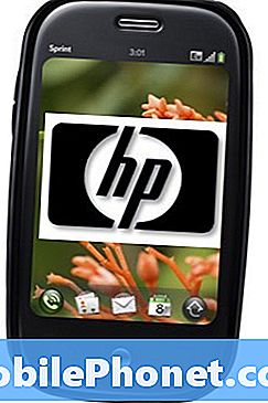 HP, Palm 구입